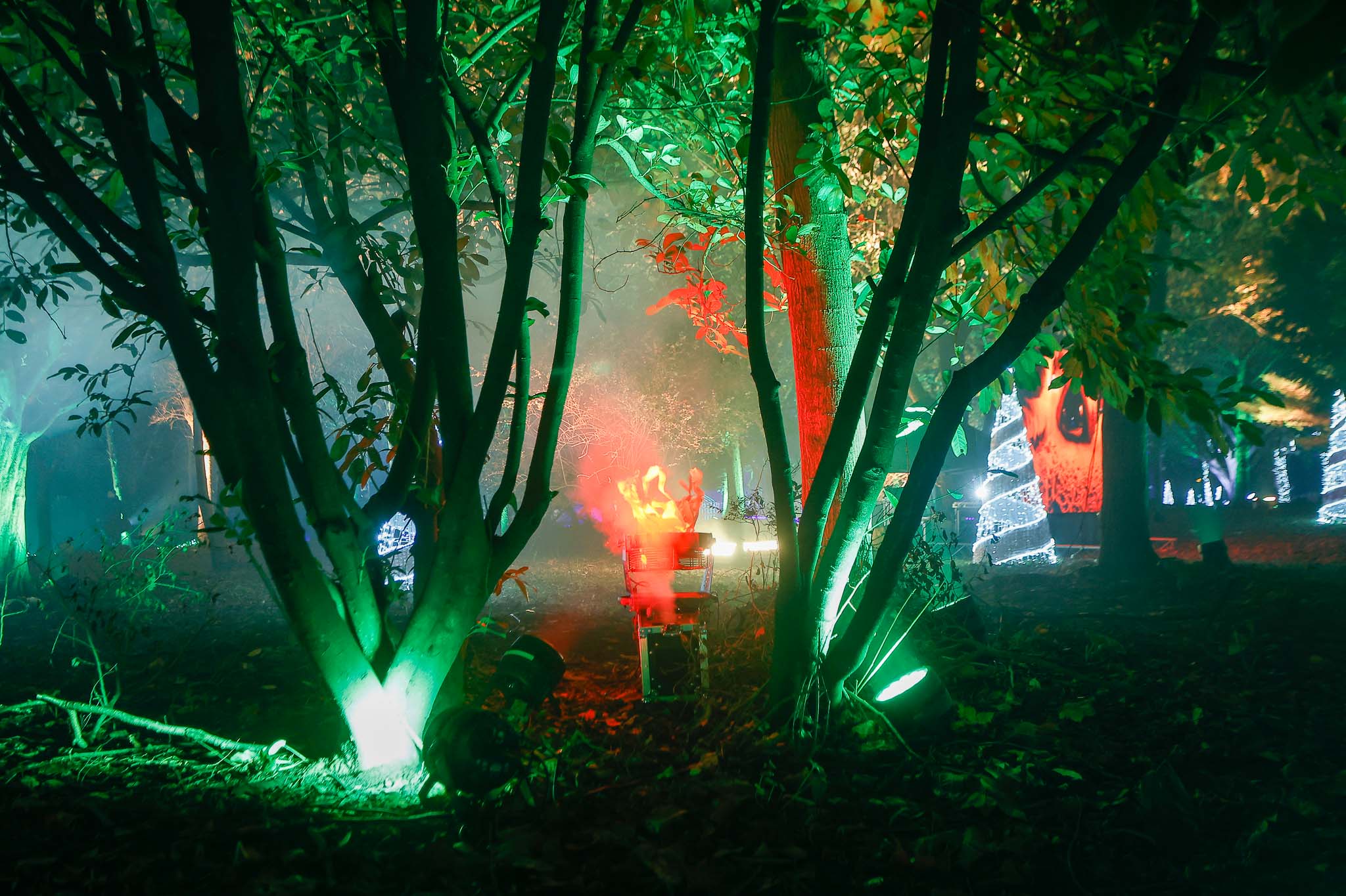 Cientos de personas no quisieron perderse el acontecimiento para ser los primeros en disfrutar de una calle y un parque que merece la pena ver