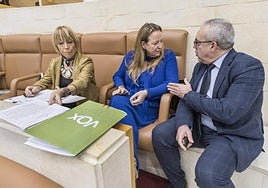 Leticia Díaz (Vox) y Pedro Hernando (PRC), en el hemiciclo.