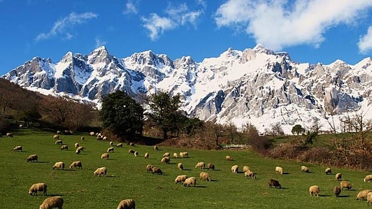 Seo/BirdLife incluye Picos de Europa entre las 28 áreas españolas con contaminación difusa