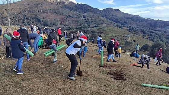 Cabárceno estrena 1.300 árboles autóctonos