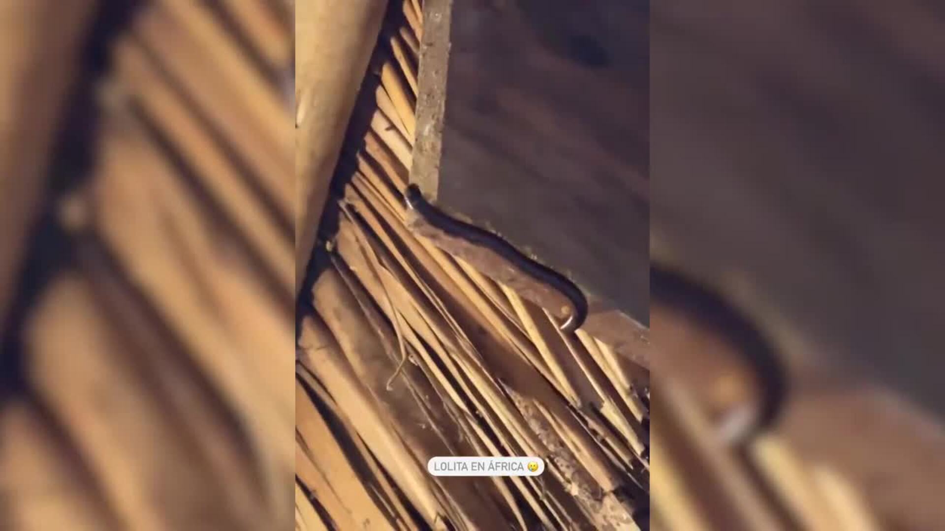 Lola Lolita viaja a Tanzania con su hermana Sofía Surfers