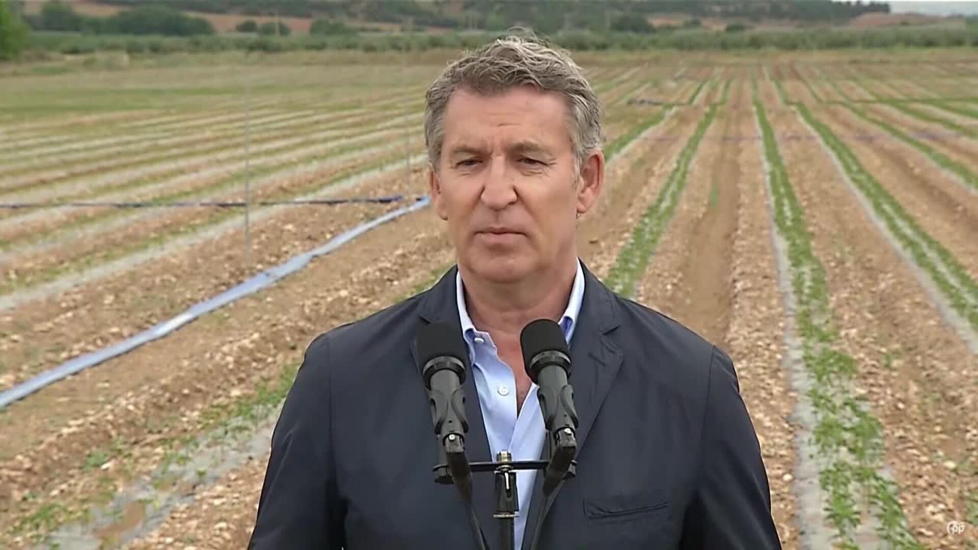 Feijóo dice que habrá Conferencia si se incluyen "propuestas de la mayoría" de CCAA