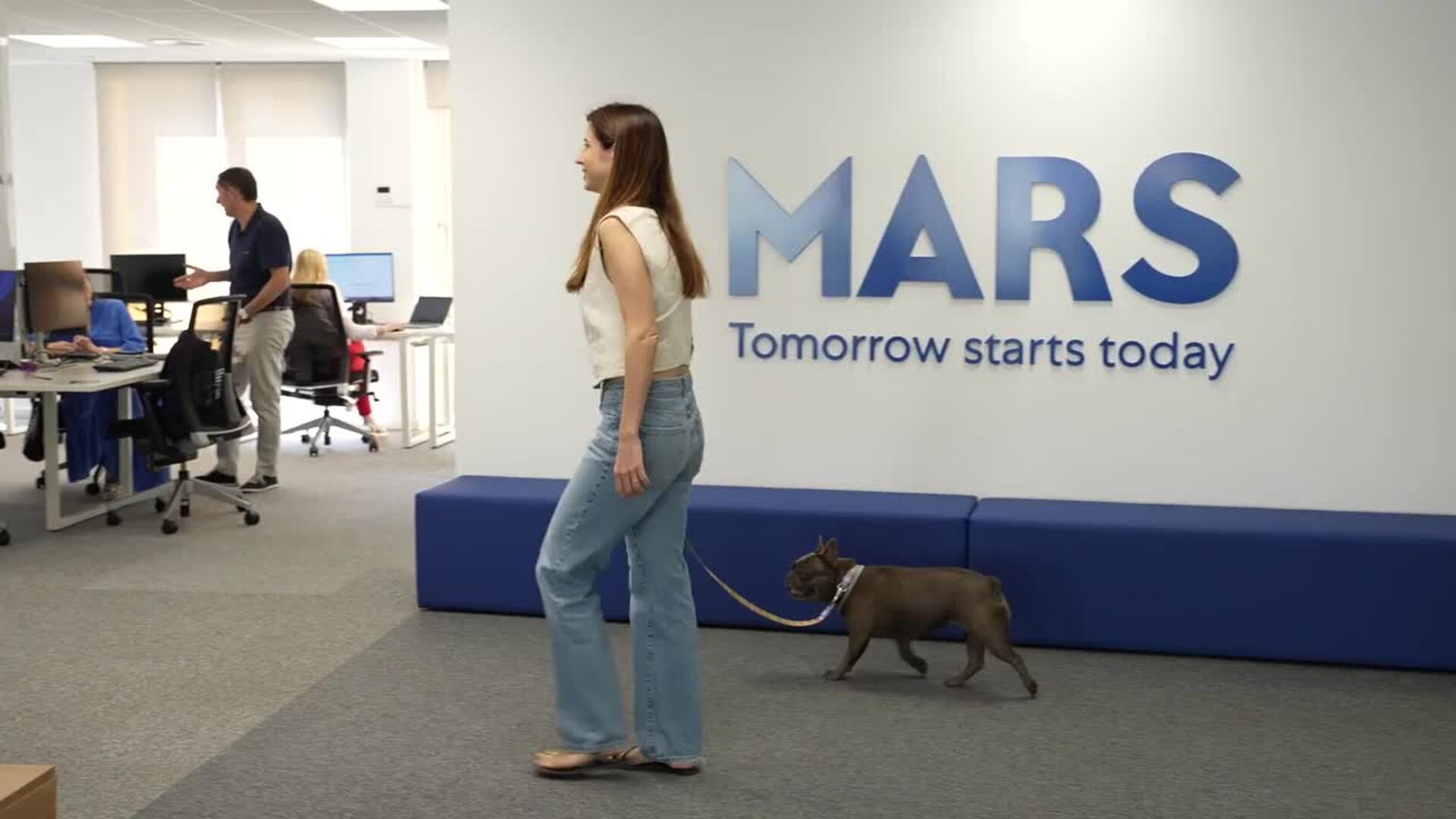 6 de cada 10 españoles con perro acudiría a su trabajo con su mascota, si fuera posible