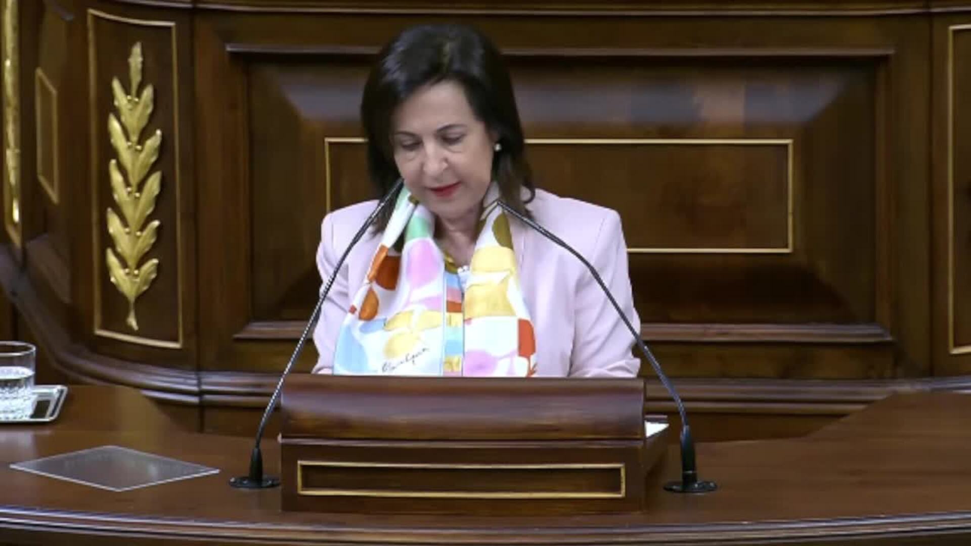 Robles desliga a su ministerio de las autorizaciones para exportar armas a Israel