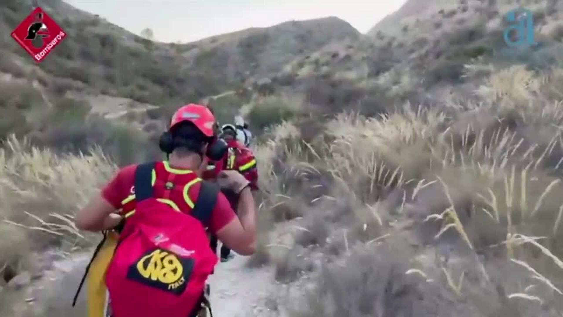 Bomberos rescatan a un caballo atrapado cuando cruzaba un barranco en Albatera (Alicante)