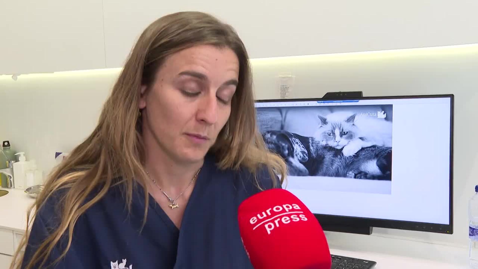 Los veterinarios alertan de los riesgos de los golpes de calor en mascotas
