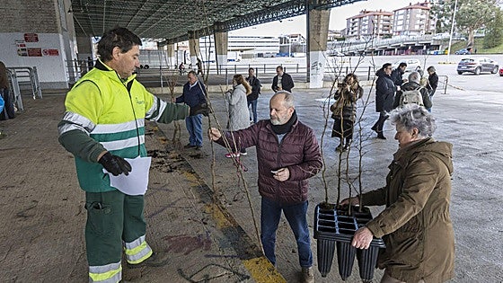 Dos mil árboles echan raíz en Torrelavega