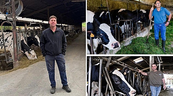 Leche a la baja, explotaciones al límite