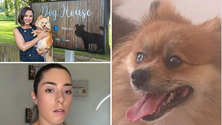 Una santanderina denuncia que el perro de Chenoa es el que le desapareció hace dos años en Tenerife