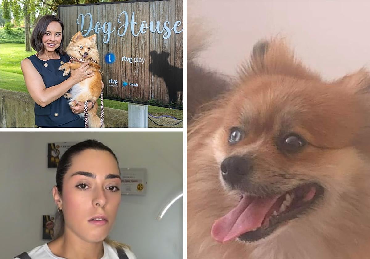 Una santanderina denuncia que el perro de Chenoa es el que le desapareció hace dos años en Tenerife