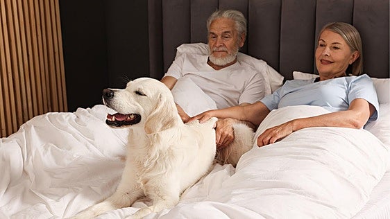 ¿Es bueno meter a tu mascota en la cama? Depende de quién duerma peor