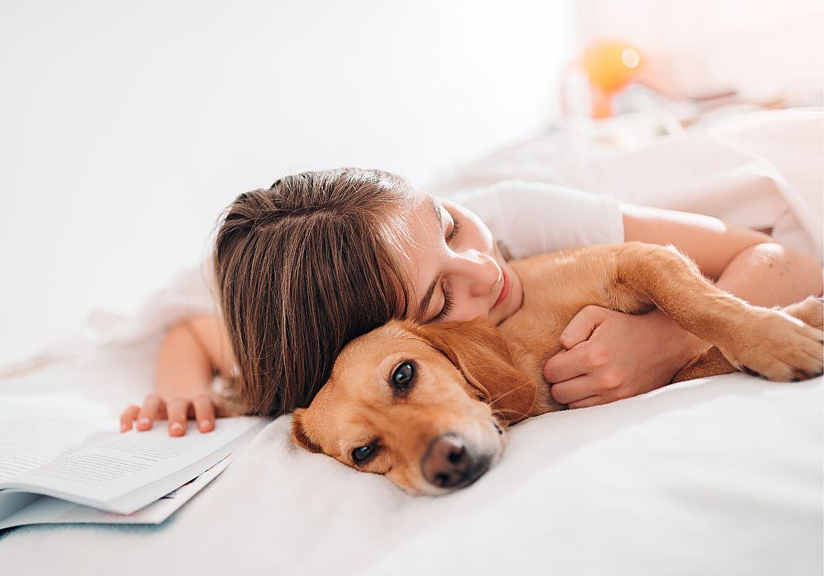 ¿Es bueno meter a tu mascota en la cama? Depende de quién duerma peor