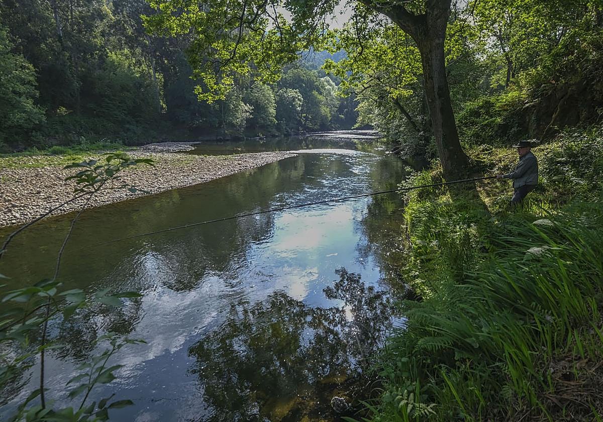 El río más salmonero de Cantabria, el río Pas, mantiene a cero su contador a falta de la última jornada de hoy.