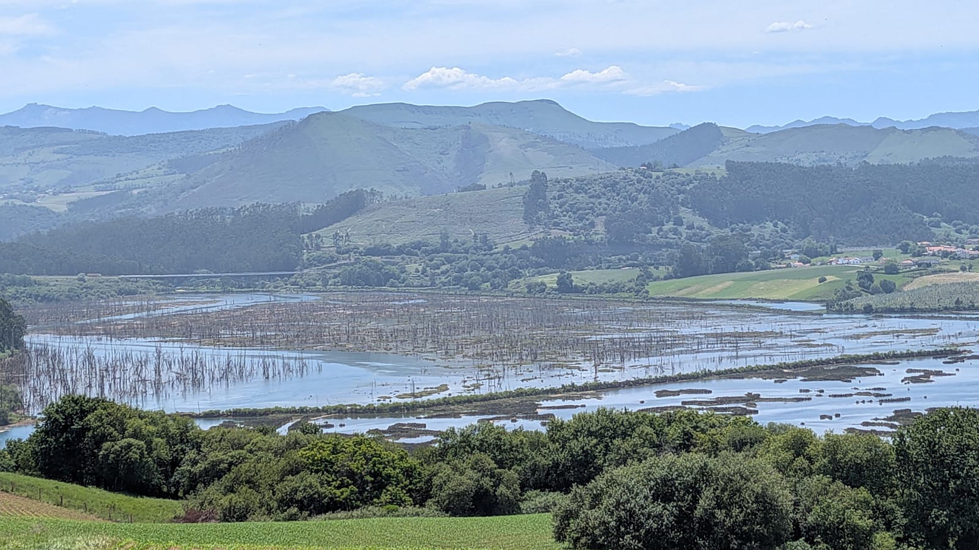 La recuperación ambiental de la Marisma de Rubín ya ha dado sus frutos