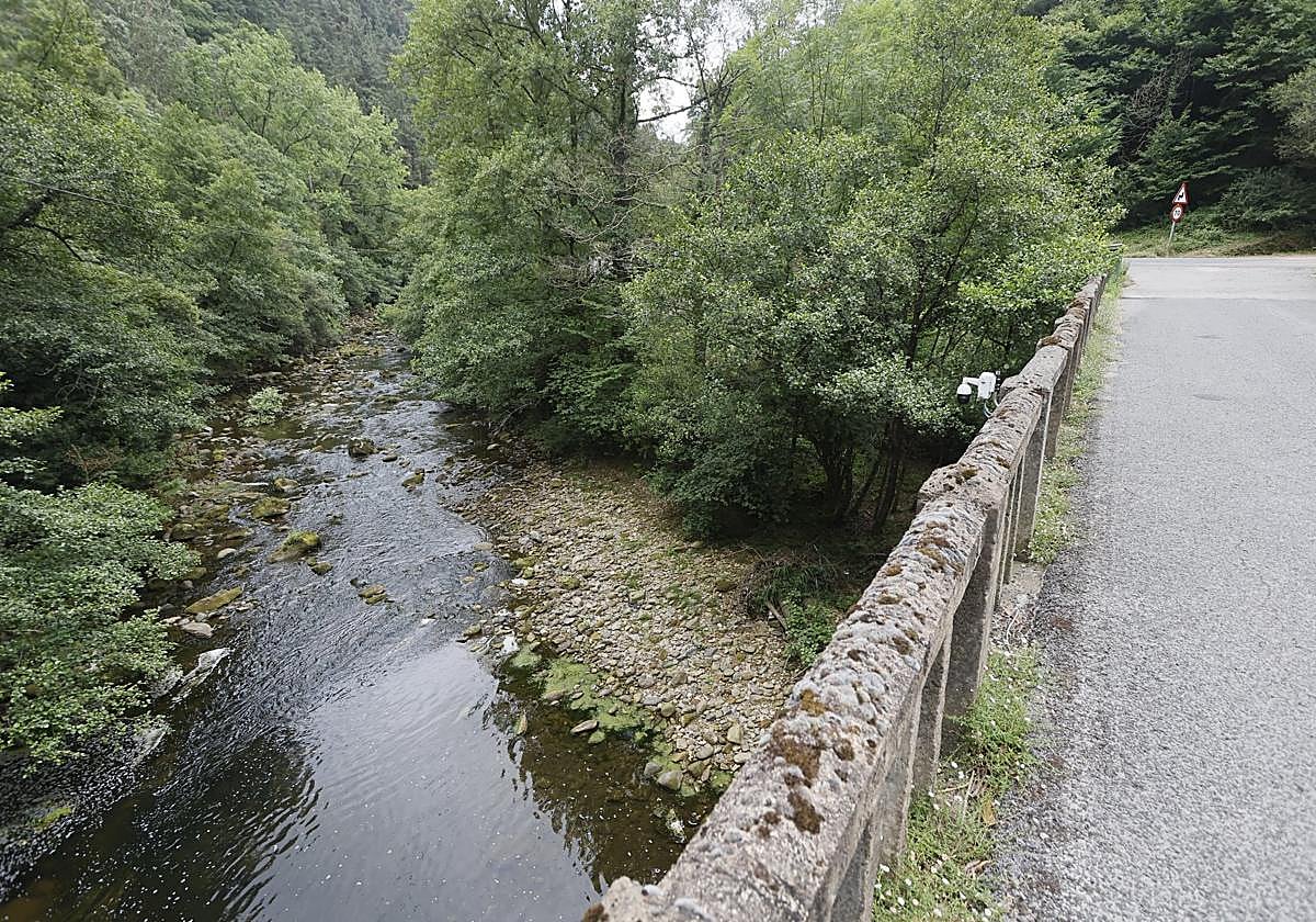 Tramo del río Pisueña donde la semana pasada se produjo el vertido de purines