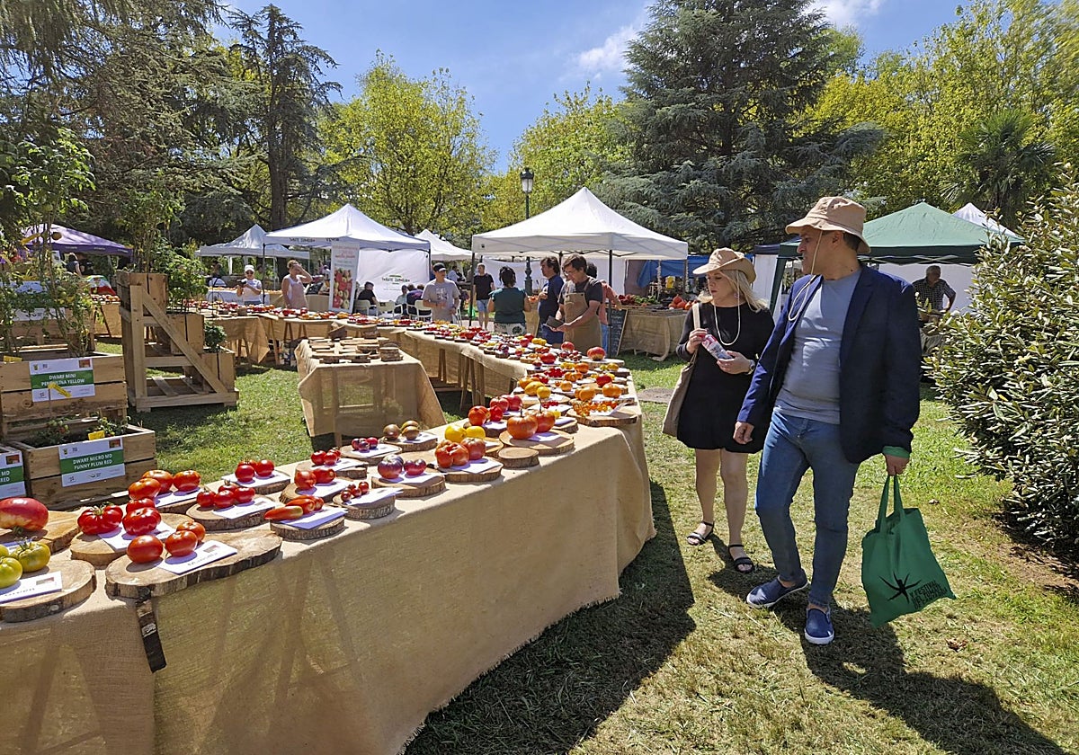 El Festival del Tomate de Torrelavega se cancela a última hora tras cinco ediciones