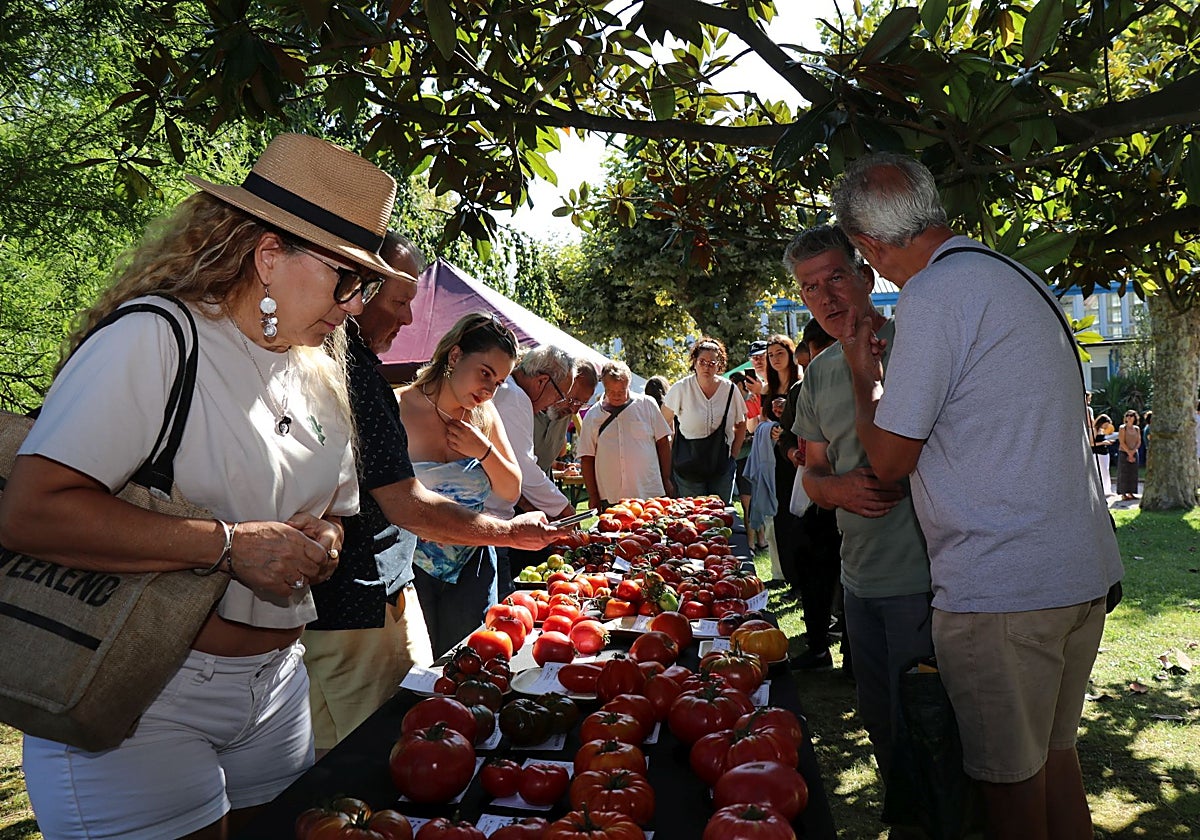 Más de 800 participantes compiten en Polanco por el premio al mejor tomate