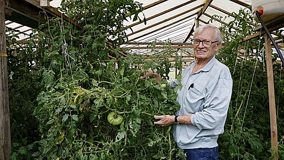 La tristeza del fundador del Festival del Tomate: «Años de trabajo a la basura»