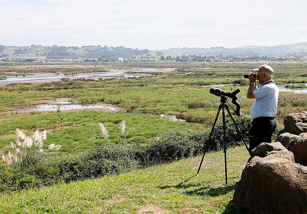 La ría de Suances comienza a volver a la normalidad tras las muertes de aves