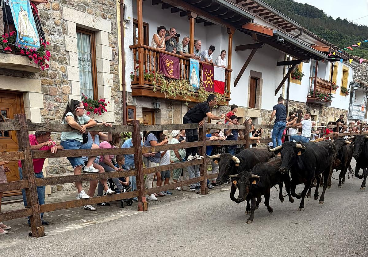 Medio siglo de la peña Joyancón