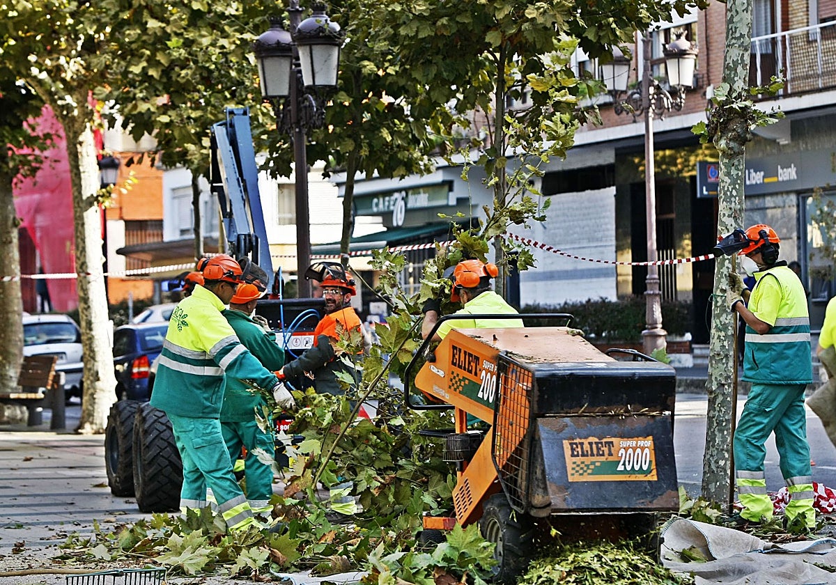El Ayuntamiento amplía las funciones del Serca en pleno conflicto del centro con su plantilla