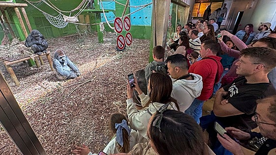 El consejero de Turismo reitera que en Cantabria «no hay masificación»