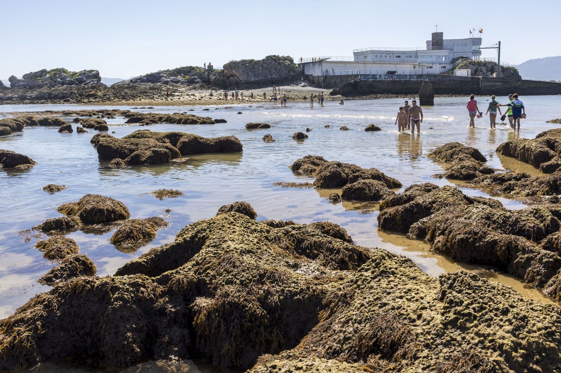Las mareas vivas han dejado a la vista muchas rocas que, por lo general, están ocultas por la arena y el agua.