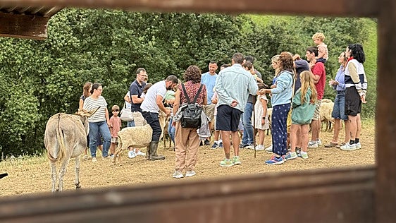 Las visitas a queserías se ponen de moda: turismo con mucho gusto