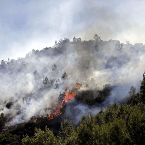 El incendio de Carcaixent arrasa chalés.