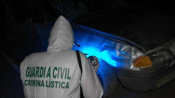 Un agente de la sección de Criminalística de la Guardia Civil. 