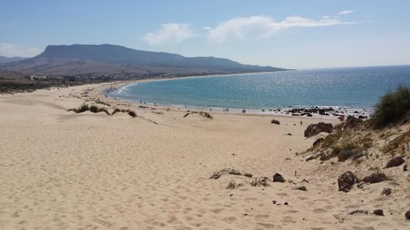 Imagen de una playa en Cádiz.