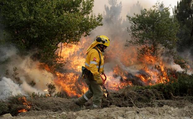 Labores de extinción del incendio de Pedrógão Grande.