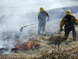 370 incendios provocados han arrasado tres mil hectáreas en Cantabria