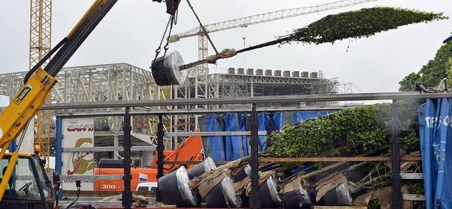 Magnolias, arces y madroños llegan a los Jardines de Pereda