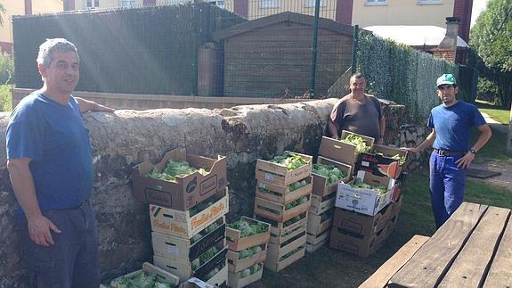 Cáritas recibe los primeros frutos de los huertos ecológicos y solidarios