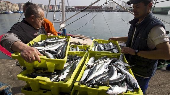 Cantabria y Asturias no se aclaran con la pesca