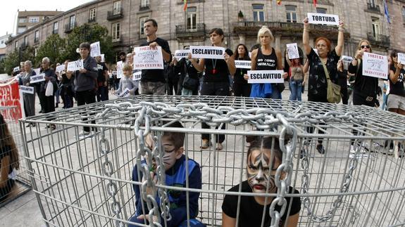 Los circos con animales, en el alambre