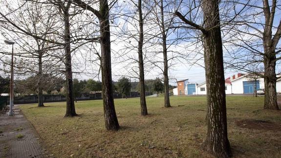 Zona verde con arbolado, en el Barrio Bolado, donde se construirá el parque.