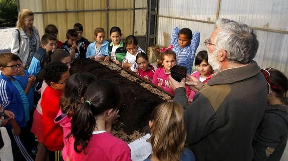 Los alumnos atienden a la explicación de cómo plantar un árbol en el centro SERCA
