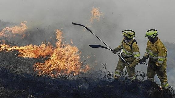 Efectivos de la brigada 202 de Cabuérniga combaten el fuego en un monte de Viaña.