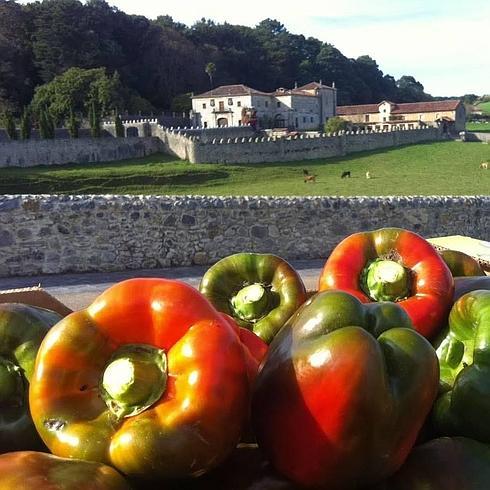 Pimientos verdes y rojos de Isla, que el pasado sábado fueron protagonistas en la Feria que se celebró en esta localidad.