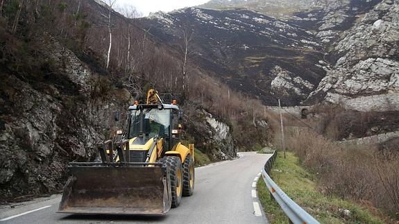Técnicos del Ejecutivo cántabro continúa vigilando la zona.
