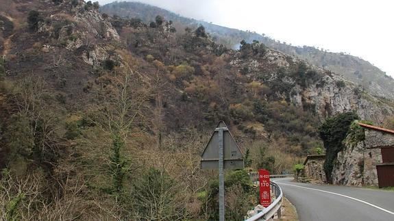 Monte de Peñarrubia, humeante después del incendio registrado el 19 de diciembre.