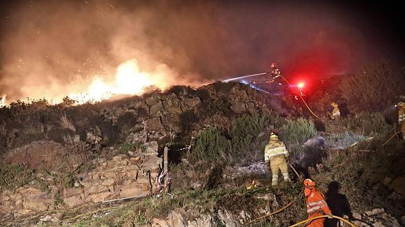 La Fundación Oso Pardo  pide «castigos ejemplares» para los autores de los incendios