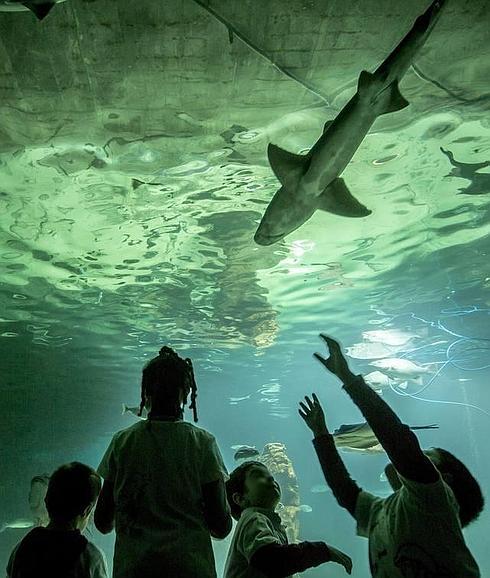 La jornada de puertas abiertas llena los museos