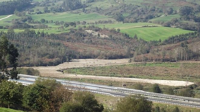 Una de las imágenes con la que los ecologistas denuncian las actuaciones que se están desarrollando en el extremo sudoccidental de la marisma de Pombo.