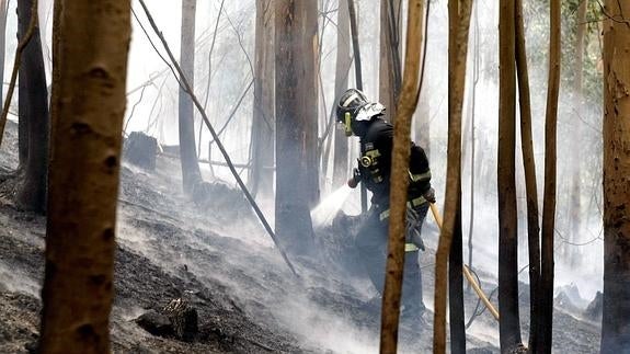 El Parlamento se une para reforzar la lucha contra los incendios