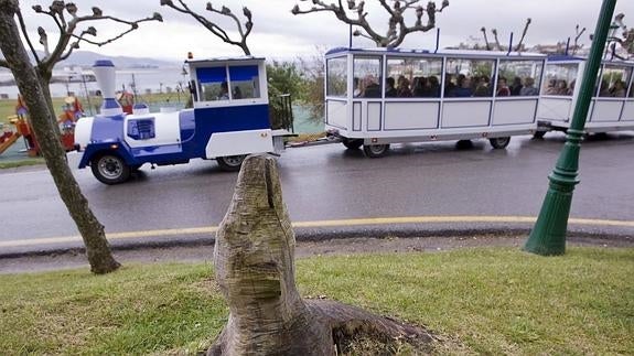 El Magdaleno, el tren turistico de La Magdalena.