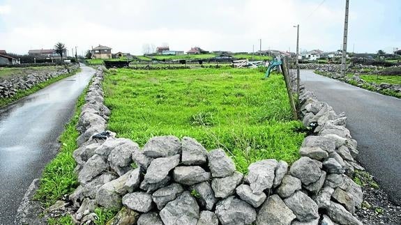 Finca en un ‘esquinazo’ de la zona de Monte, con los típicos muros de piedra que separan los terrenos en la zona.