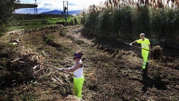 Desempleados contratados en el Ayuntamiento de Camargo